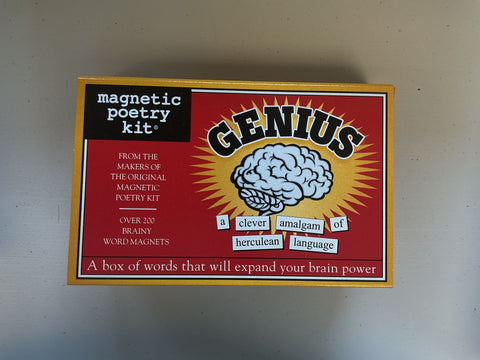 Genius Magnetic Poetry