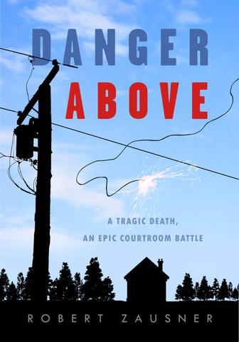 Danger Above: : A Tragic Death, An Epic Courtroom Battle